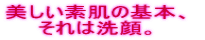 �������f���̊�{�A ����͐��B 